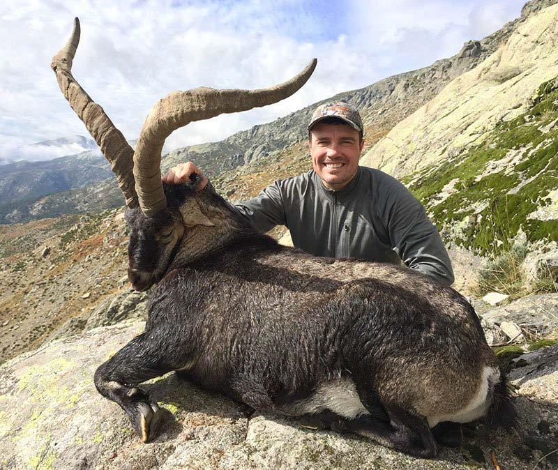Beceite Ibex up to 5 years old and field prep. Additional species can be added for outfitters current rates.