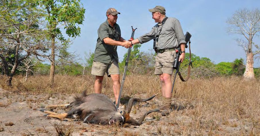 I ve long wanted a big one from Mozambique, native range and free range. There are plenty, but they re not easy to hunt.