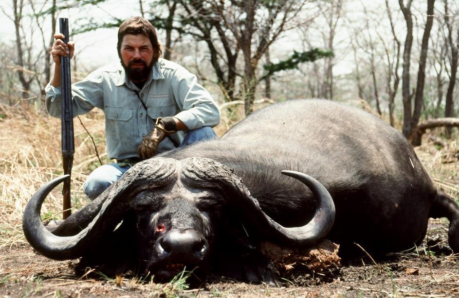 South Africa Buffalo