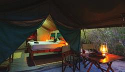 Luxury safari-style tents with all the comforts you need on safari.