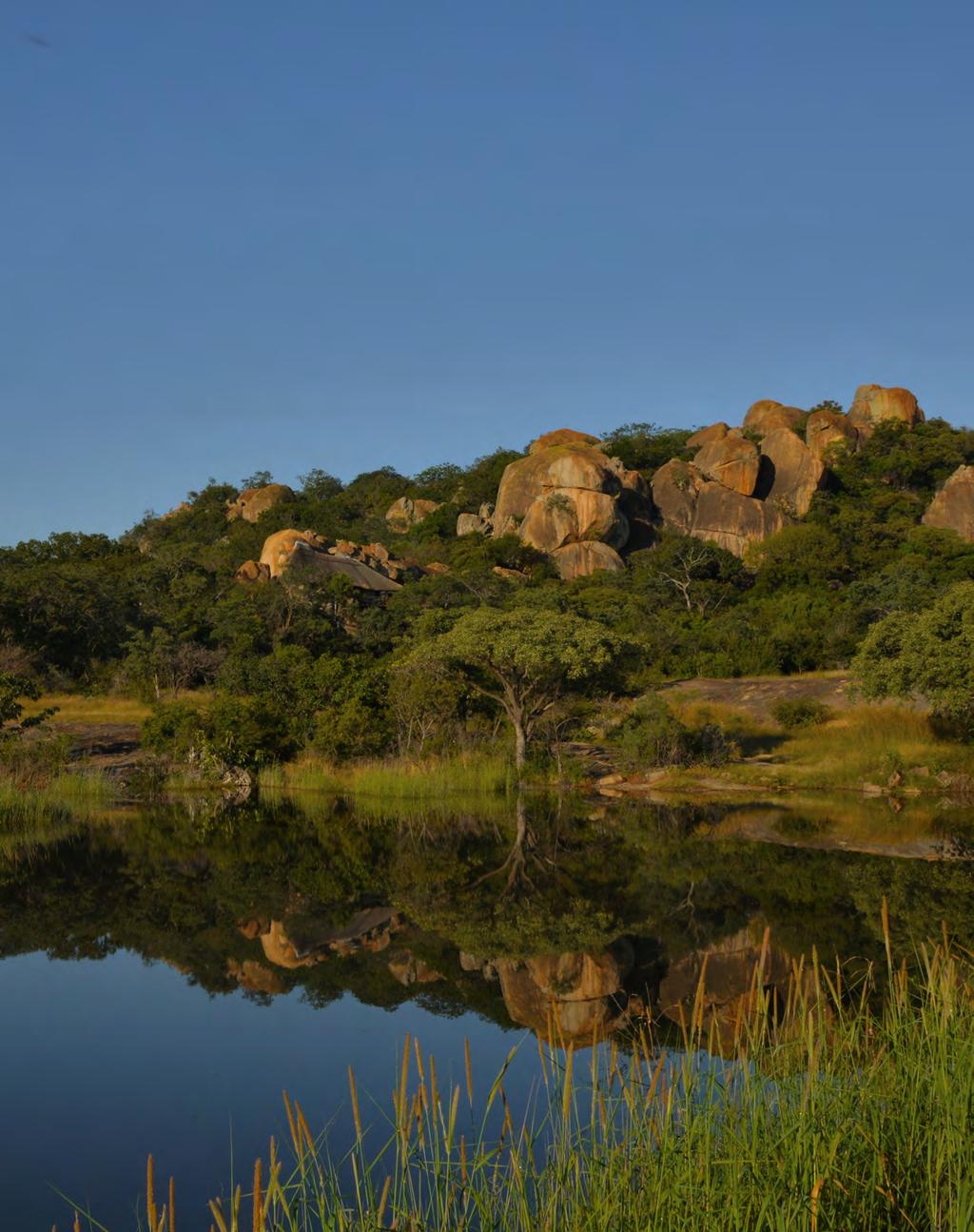 COMMUNITY & CONSERVATION INITIATIVES MOTHER AFRICA TRUST Mother Africa Trust Matobo Hills, Zimbabwe Amalinda Lodge $ 30 in proceeds from your visit to Amalinda go to community and conservation