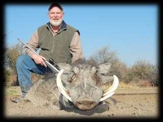 !! If there was one animal that was avoiding Ron for the whole of the safari, then it was a big Warthog boar.