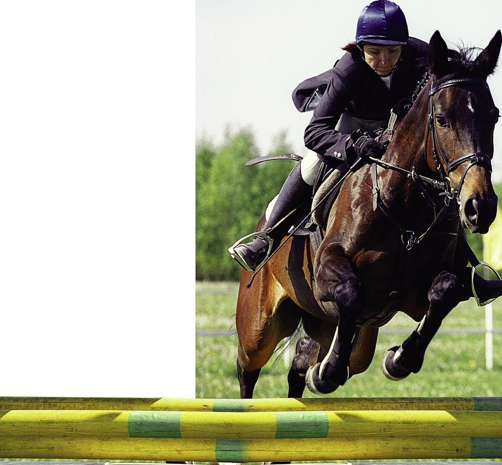 The courses are made up of many obstacles. These include fences, gates, walls, and water jumps. Show jumping is also called stadium jumping or jumpers.