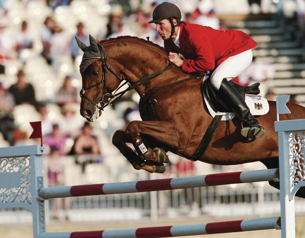 Show jumping can be compared to dressage. In dressage, horses learn to perform specific moves.