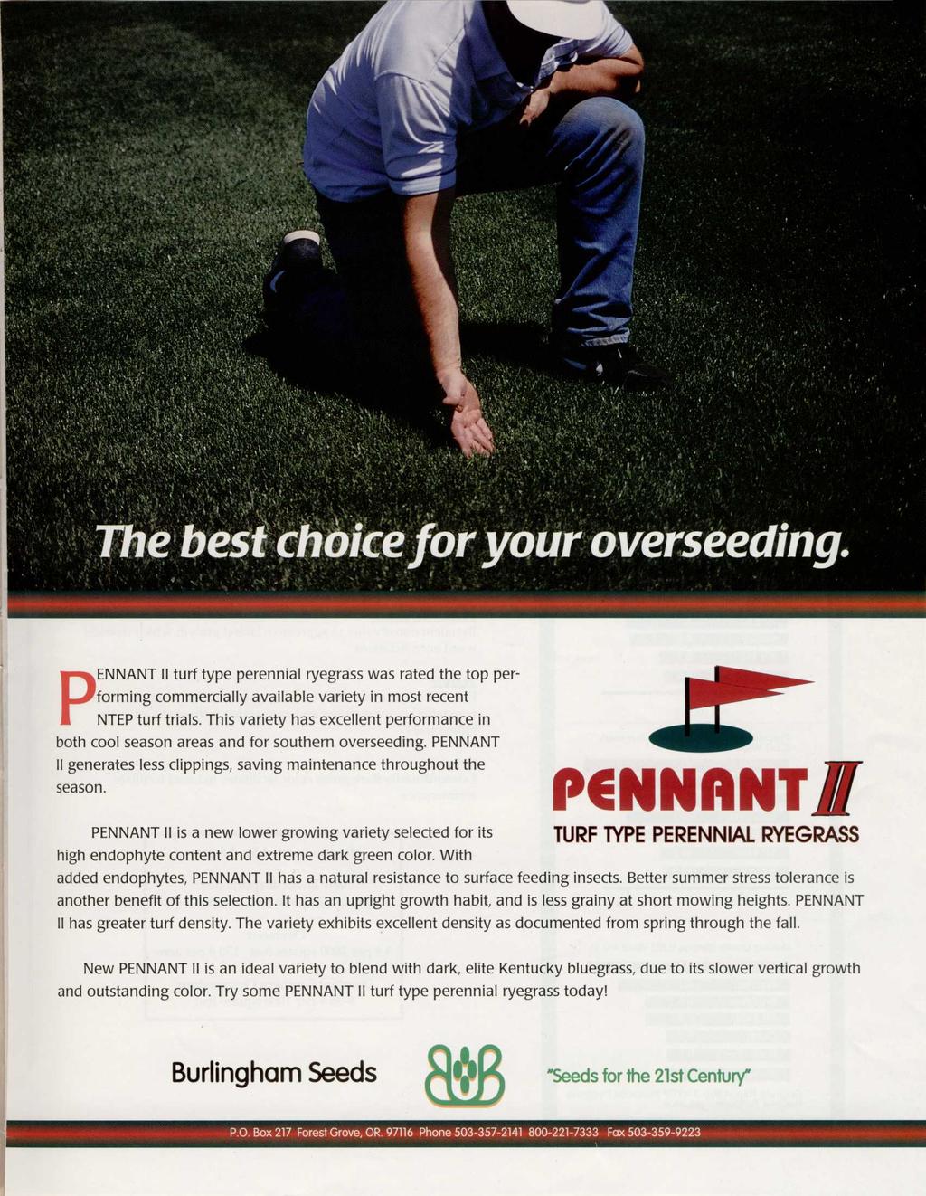 The best choice for your overseeding. turf type perennial ryegrass was rated the top performing commercially available variety in most recent NTEP turf trials.