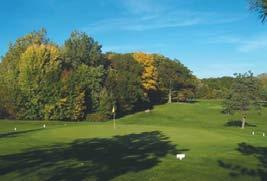 Fast greens, perfectly manicured fairways and a friendly professional staff make the Country Club one of Mid-Michigan s best kept secrets.