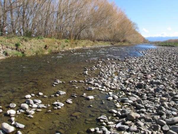 A one off comparison was also made with a section of the Tukipo River upstream of the Burnside Road Bridge.