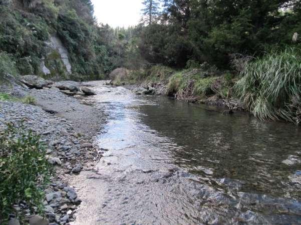 A survey was also undertaken of Dutch Creek, a tributary of the Makaroro which flows in on the true left 500m below the historic Mill site on the Makaroro River.