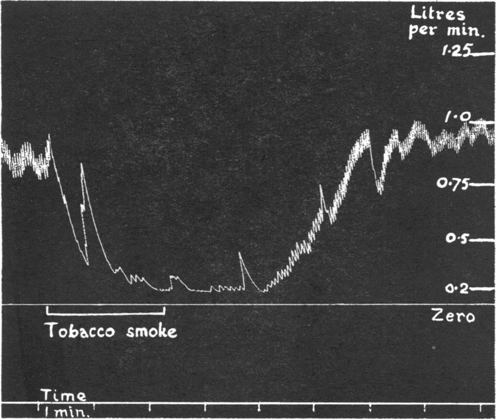 RECORDING RESPIRATION 263 results are consistent with the finding that the resistance is proportional to the fourth power of the diameter of the tube [Ower, 1933].