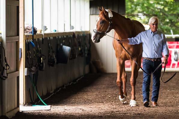 For the 65-year-old Baffert, the journey began many years ago on a ranch in Nogales, Arizona where his family raised cattle and chickens.