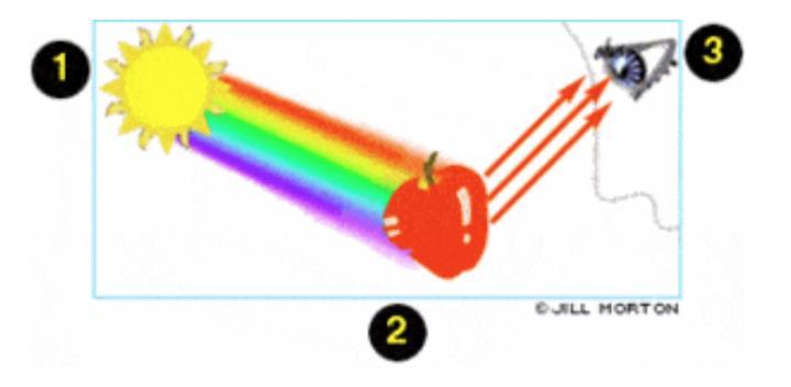 21. As the wavelength of a wave gets longer, the frequency a. Increases b. Decreases c. Stays the same d. Has no reaction 22. A material that reflects or absorbs all the light that strikes it is a.