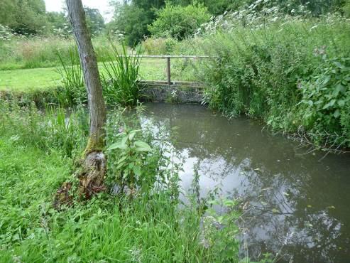 Photo 3 Water off take feeding into the hatchery ponds, which relies