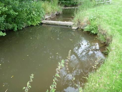 Photo 10 Plastic drainage pipes discharge water to the brook from the true left bank (right of picture) the
