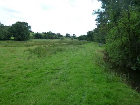 Photo 12 Field on the true left bank of the brook which is in a perched
