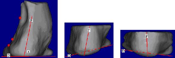 ICAMS 2014 5 th International Conference on Advanced Materials and Systems a) b) c) Figure 2. Comparison between three methods of capturing the 3D surface of a rigid flat foot (left foot).