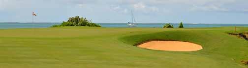 Expansive white sand bunkers and water set off the natural backdrop of mangroves and vegetation perfectly. Water is an essential feature of this course.