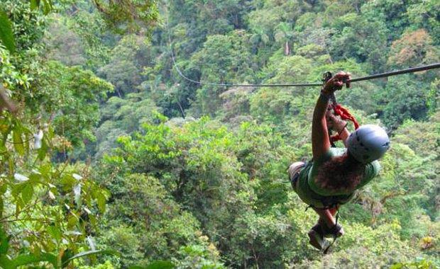 The sky tram and trek tour is a great opportunity to view the rainforest from a different perspective.