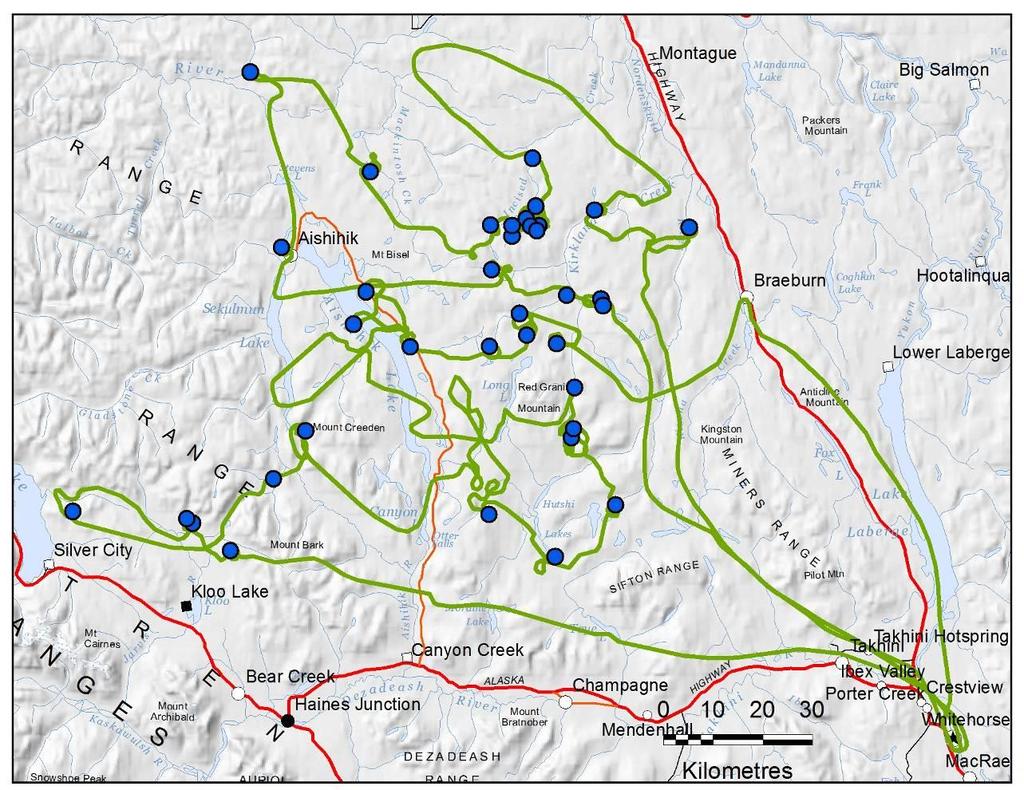 Figure 5. Bison telemetry flight flown on 12 and 13 March 2014. Blue circles are where radio-collared bison were located. Green line is the flight track.