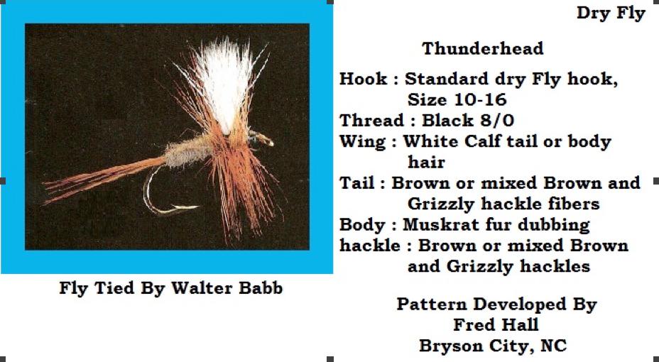 Tie & Lie We will be meeting at The Casual Pint in Maryville at 6pm on April 23. The suggested fly for the night will be the Thunderhead.