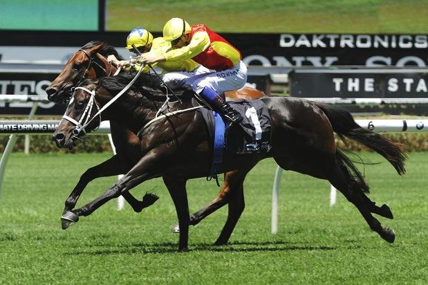 CHRIS WALLER RACING CHRIS WALLER RACING WINNERS THIS WEEK GOOD PROJECT 3yo C by Not A Single Doubt Euchre by Final Card Good Project made winning work of Randwick s mile on Saturday after a