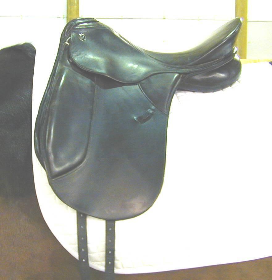 A SADDLE FITTING GUIDE by George Gullikson Saddle Problem: Behind the motion. The saddle to the right is sitting on the horse s back, pommel high.