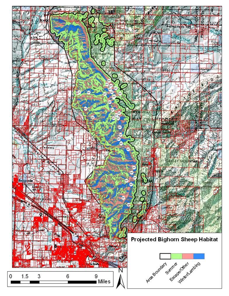 Figure 3: Land ownership overlay on the area surrounding the projected bighorn sheep habitat in the Bridger