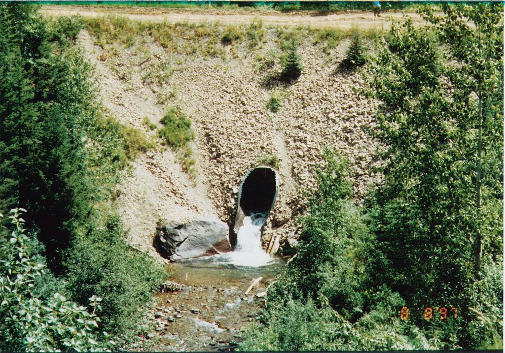 Columbia Basin Fish & Wildlife Authority Fish Passage Improvements and Population Responses - Preliminary Results Fish Passage
