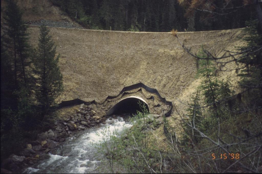 resulted in the availability of 16% more habitat # of WCT/150 m 200 Culvert Replaced 150 100 50 0 1992 1994 1996 1998 2000