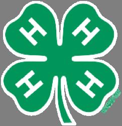 BREMER COUNTY 4-H HOTLINE Dear 4-H ers, Families and Friends HAPPY HOLIDAYS!