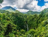 Spring Villa - 3 Nights - Breakfast Included DAY 5 Visit the waterfall of La Fortuna Located into a spectacular rainforest and