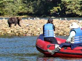 - Jean Rissman, Calif, USA SAMPLE ITINERARIES Great Bear Rainforest Fall Great Bear Photo Trip Autumn 2018 Dates & Prices - SV Maple Leaf Aug 29 - Sept 6, Sept 7-15 (photo trip), Sept 17-25, Sept 26