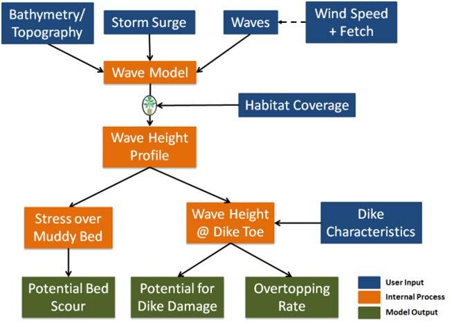 Wave Model Use for Coastal Planning