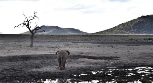 With the rains and thunderstorms, we ve been having, all the waterholes in the park is filling