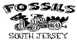 FOSSILS SOUTH JERSEY www.fossilscarclub.