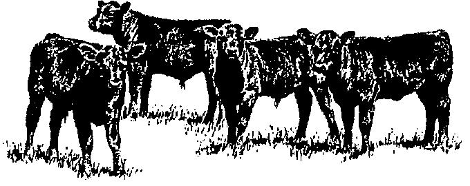 OCEANA COUNTY 4-H MARKET LIVESTOCK EDUCATIONAL NOTEBOOK/RECORD STEER PROJECT - 2019 AGES 12-14 As a member of the 4-H Market Livestock Steer Project, you are required to submit your records as part