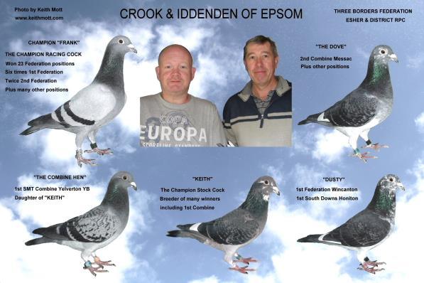 Ray was a very good pigeon racer and had flown in partnership with Jimmy Rookledge since the 2000 season, and they enjoyed some wonderful success racing in one of the strongest clubs in the south of