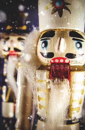 2017-2018 Available Season Performances THE NUTCRACKER with live music by the NFB Symphony Orchestra Based on E.T.A. Hoffman s The Nutcracker and the King of Mice," NFB produces the only full-length production of the classic holiday ballet in the area.