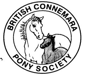 Scottish Connemara Group Star Show By kind permission of Ettrick Forest Riders Association Affiliated to the British Connemara Pony Society Sunday 6 th July 2014 John Swan Auction Mart, St Boswells,