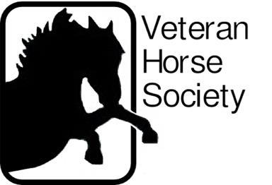 CONTENTS GENERAL RULES COMPLAINTS / DISCIPLINARY PROCEDURE WELFARE SHOWING GUIDELINES SHOWING GUIDELINES (HORSE & PONIES) TURNOUT & TACK MARKING SYSTEM SHOWING CLASSES THE VHS SHOWING SERIES ENGLAND