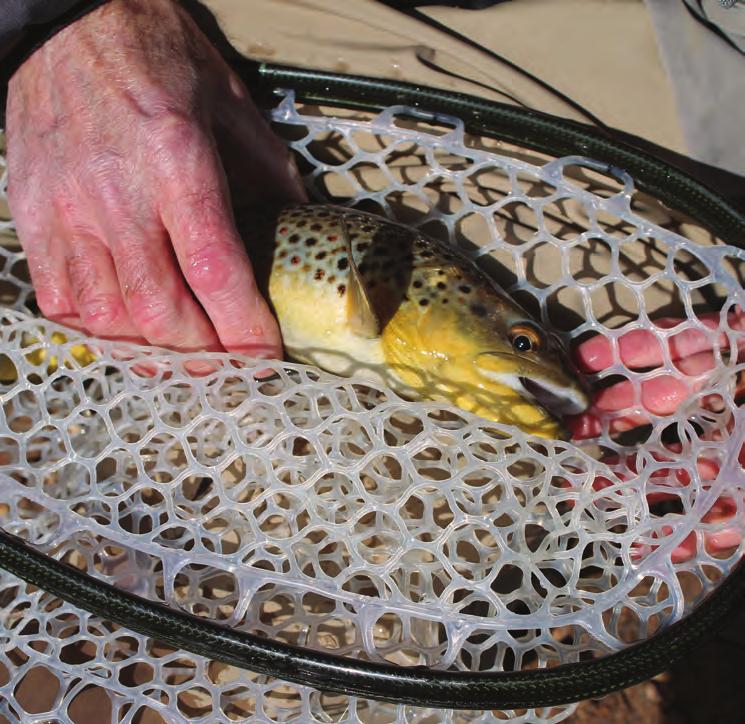 George Hunker spirals the tenkara rod out of itself to extend into a full-fledged fly-fishing rod.