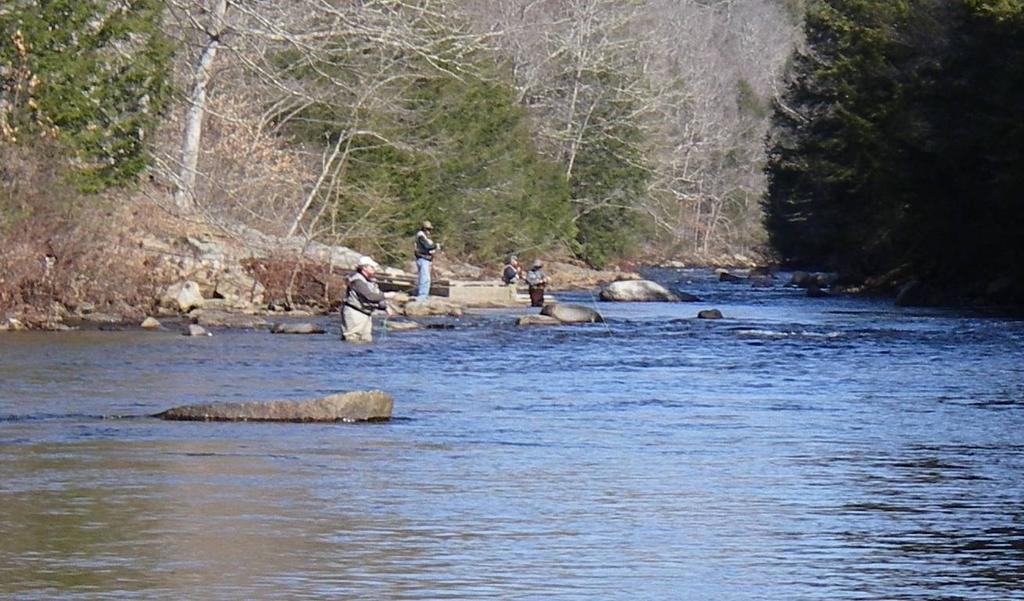Volume 10 Issue 6 March 2010 FROM THE BANK OF THE STREAM President's Message March 2010 Presidents Message Get ready to fish because spring is finally here, the Hammonasset River TMA was stocked with