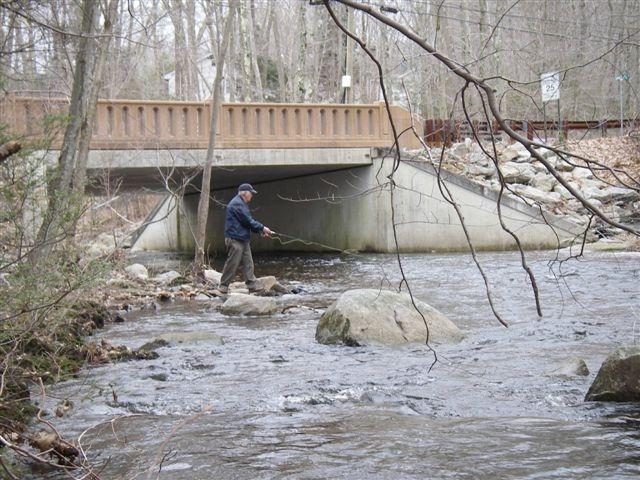 Mike leads the state's program to reintroduce, protect and grow wild trout in rivers throughout the state.