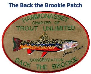 Chapter patches are still available: $20 each. Proceeds go toward our conservation and Youth Education project. Choose either the Back the Brookie or the Conservation since 1984 patch.
