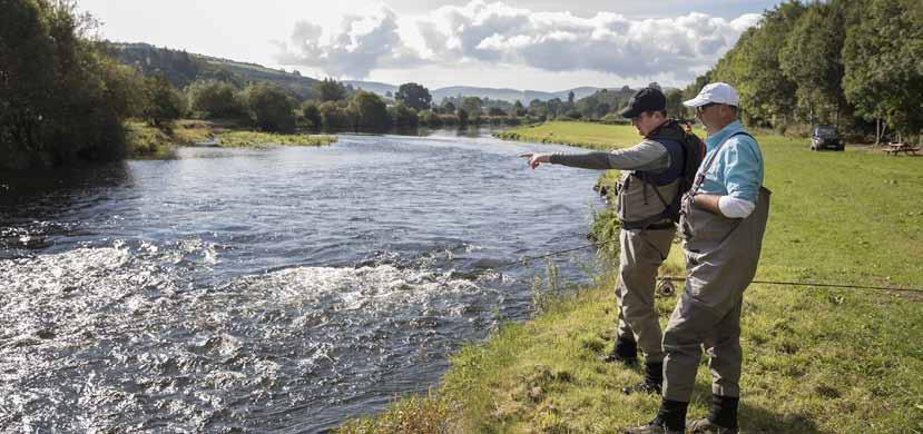 The River Suir Ireland s second longest river and world famous for its dry fly fishing.