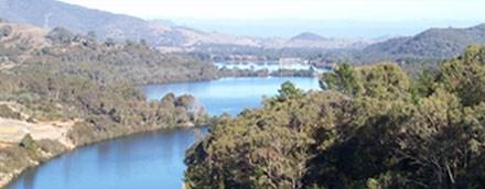 Taponga. Fishing options include bank fishing, wading and float tubing as well as boating.
