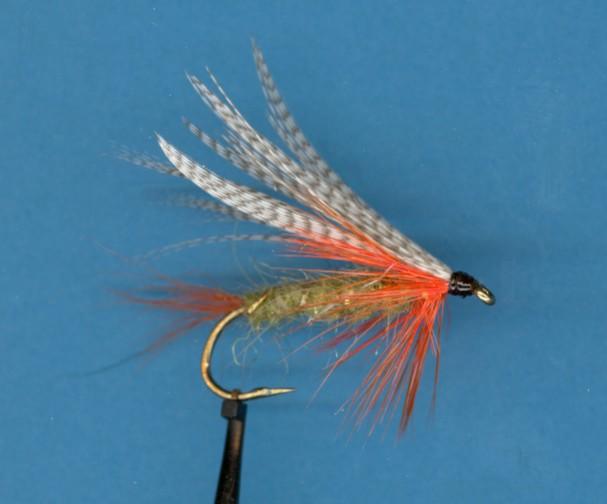 On The Fly "Fly tying is a school from which we never graduate" PATTERN OF THE MONTH-Stayner Ducktail Hook - 3X long nymph hook, size 4-12. Thread - Black 6/0. Tail - Orange hackle fibers.