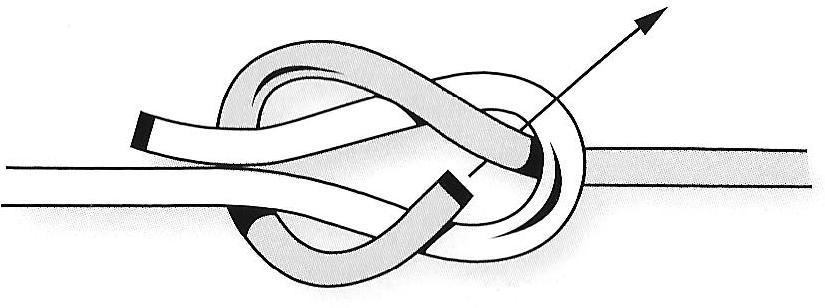 Surgeon s Knot (Ligature Knot) Type: Binding Uses: Situations where a binding knot is tied under load; suturing; variations used in fly fishing.