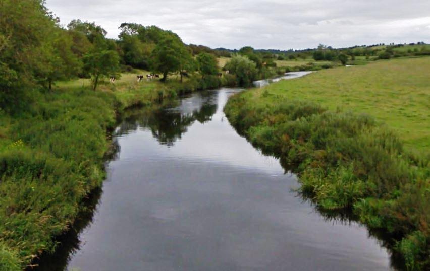 exercise is the River Bush in Northern Ireland. There the conservation limit is given as 3.06 eggs/sq. m (Table 9.2, Crozier report). Why might it be so different from the North Esk?