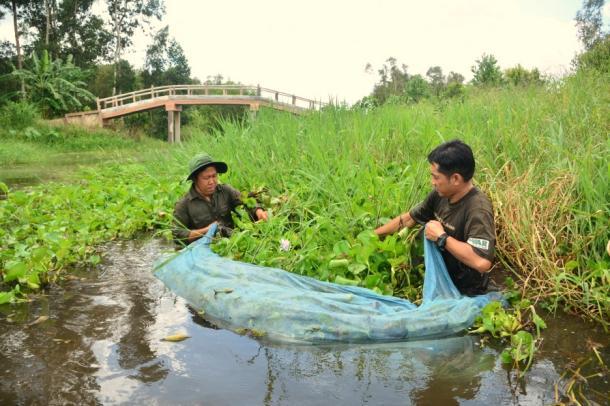 The survey lasted for four days and was conducted in wetland and