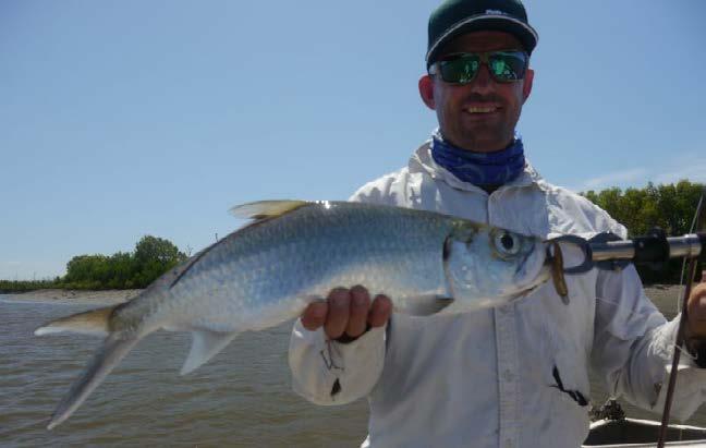 A solid tarpon on the ZMan 3 MinnowZ I headed straight to an area that had been productive on big fish in the past, but after working it for a while for only a couple of trevally, I decided to push